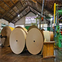 fabrica papel kraft bobina